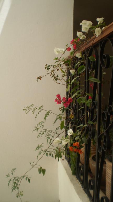 Dar Darek Hotel Essaouira Bagian luar foto